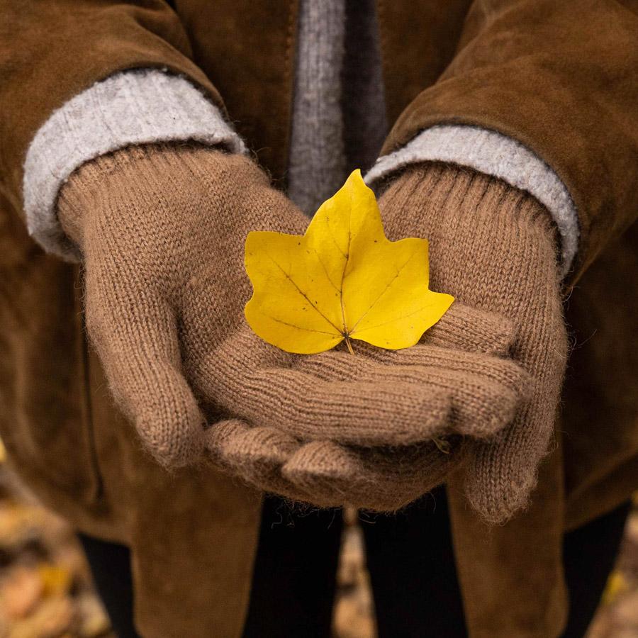 Eine Person in einem braunen Mantel hält ein gelbes Herbstblatt in ihren beigen gestrickten Handschuhen.