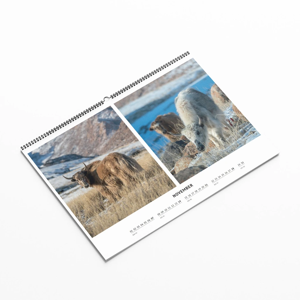 Kalender-Mockup-3.webp