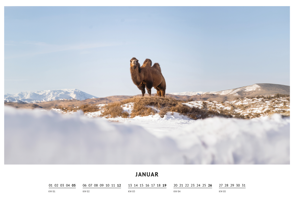 Kalender 2023 - Januar