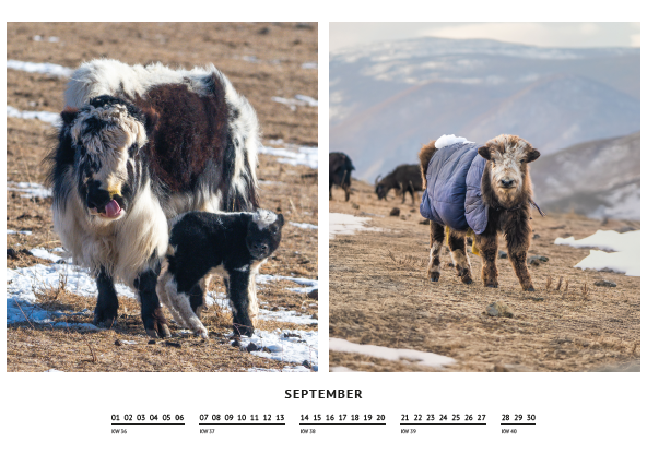 Kalender 2023 - Oktober