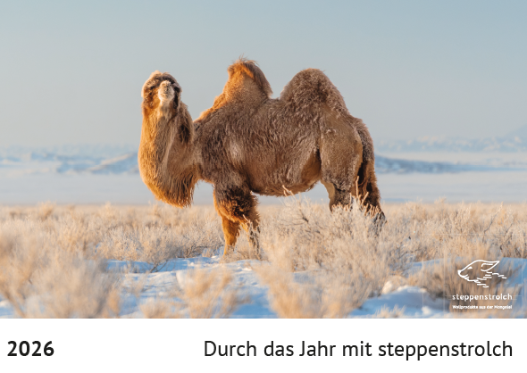 Wandkalender 2026