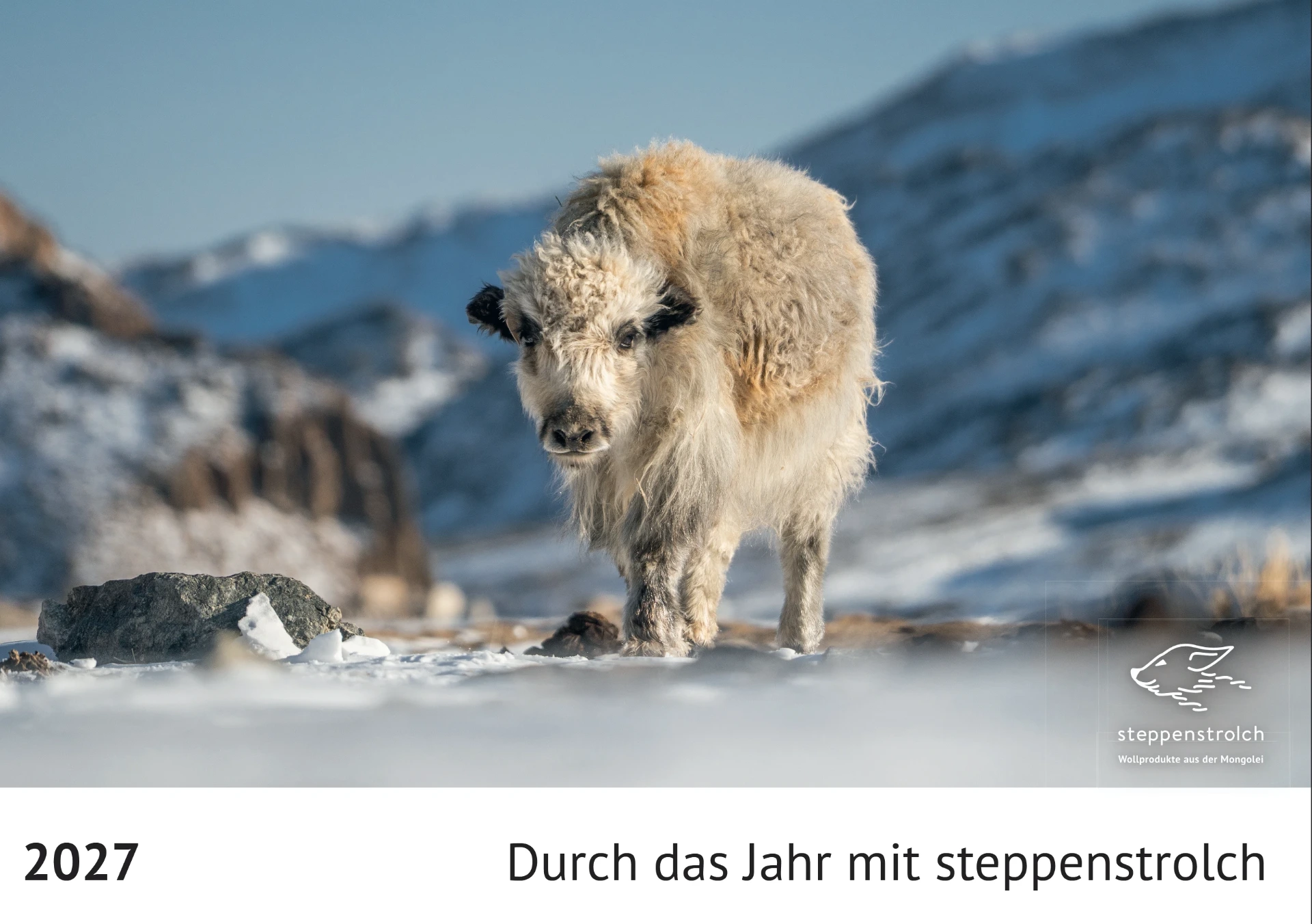 Wandkalender 2026 (Kopie)