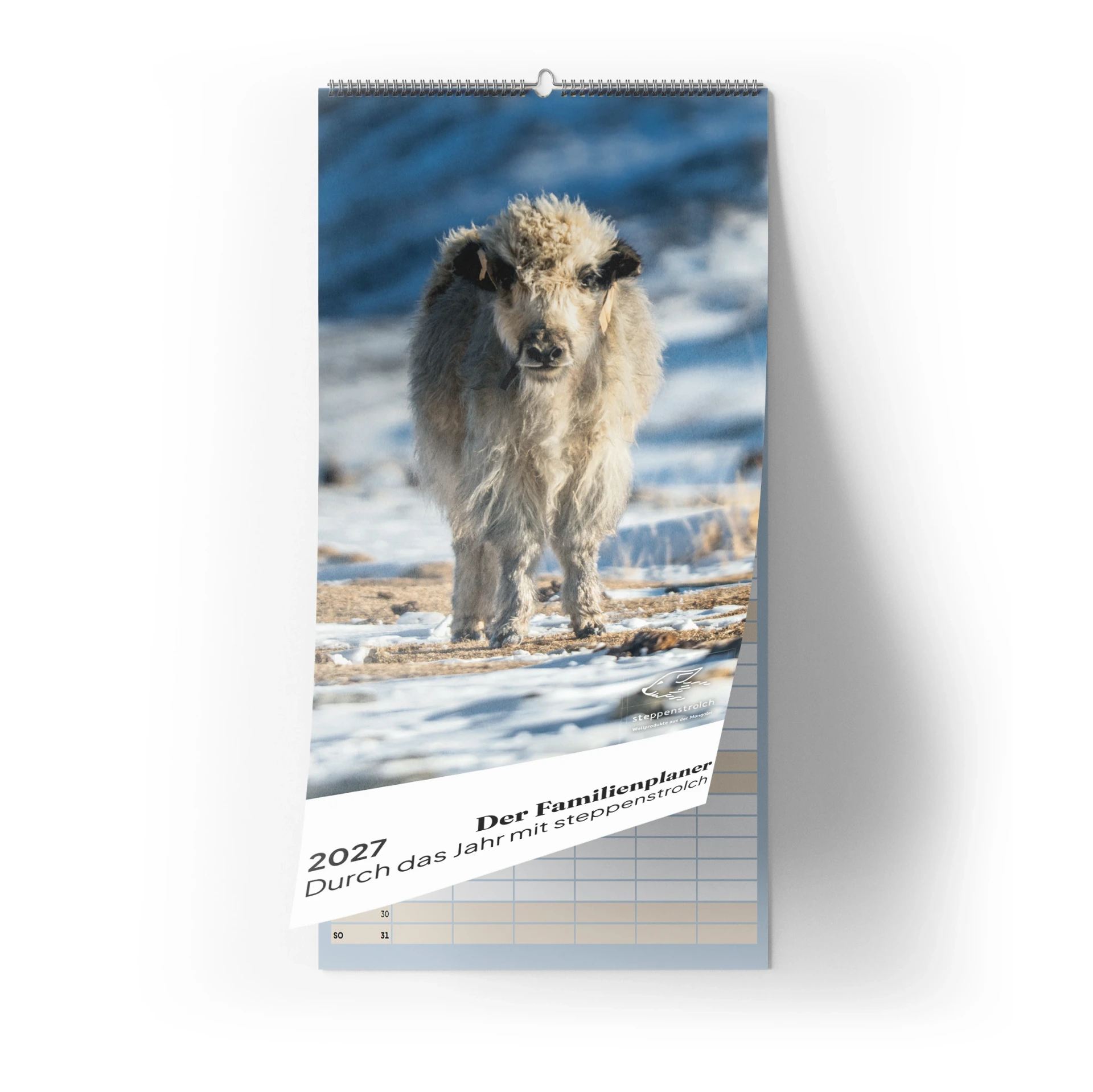 Family Planner Calendar 2027