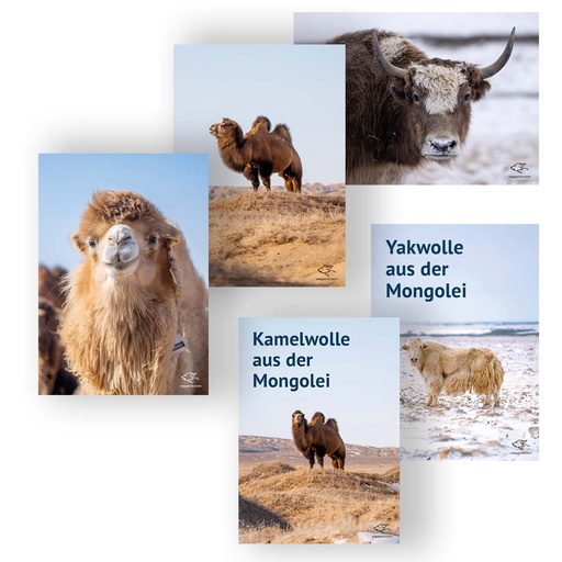 Poster mit Tiermotiven